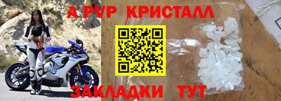 PSILOCYBIN Ярославль
