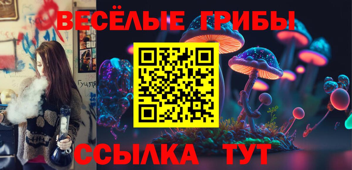 Псилоцибиновые грибы мицелий Кандалакша