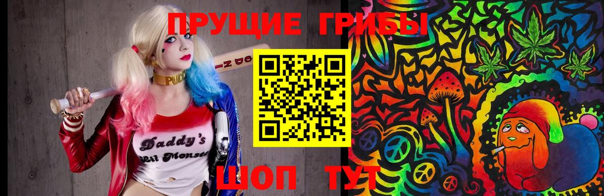 Псилоцибиновые грибы прущие грибы  Вход с VPN  Кандалакша  купить  сайты  Псилоцибиновые грибы MAGIC MUSHROOMS 